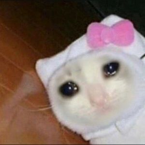 Meet your Posher, Iyana